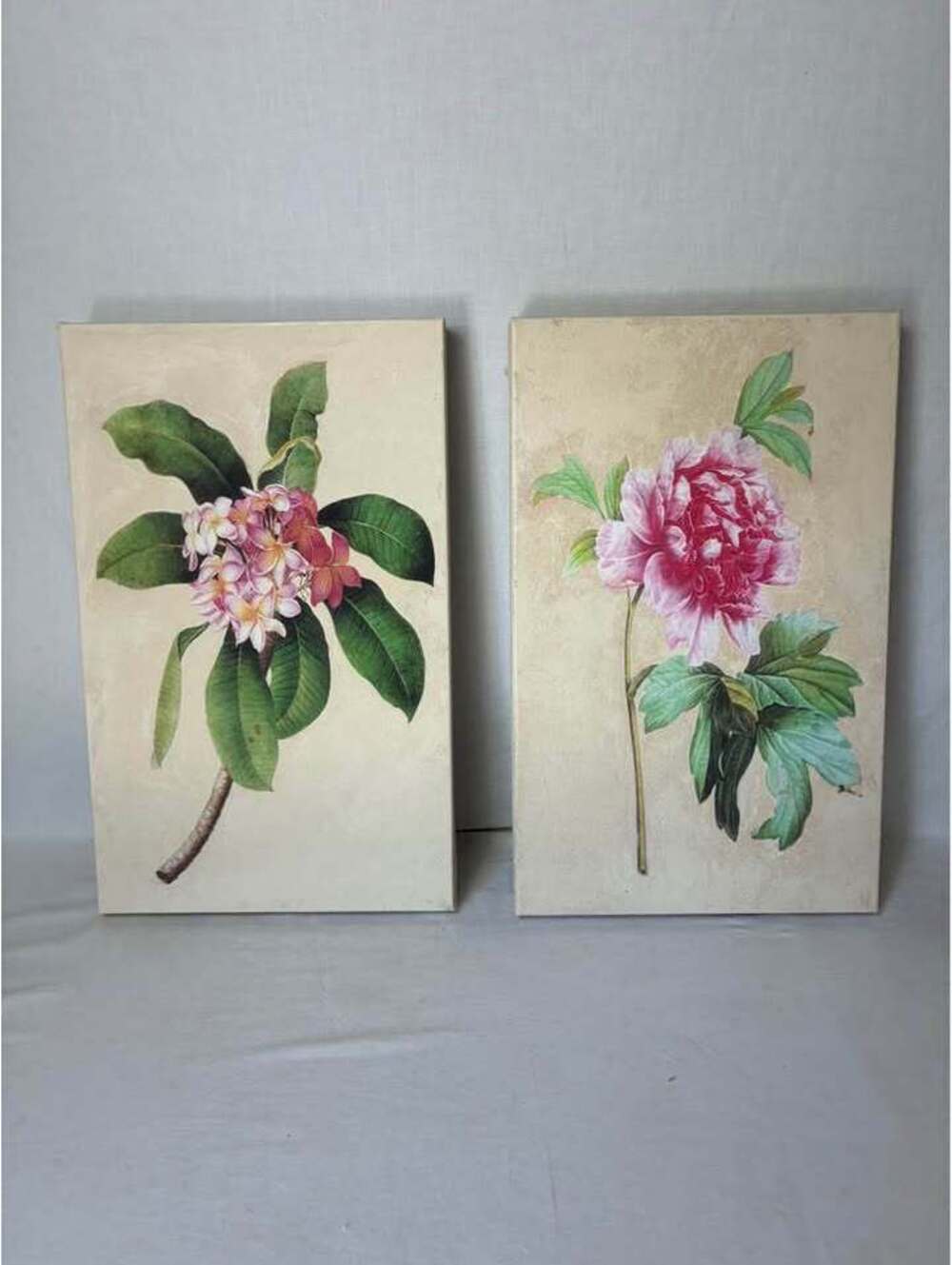 Floral Botanical Gallery Canvas Set of 2 Vintage
